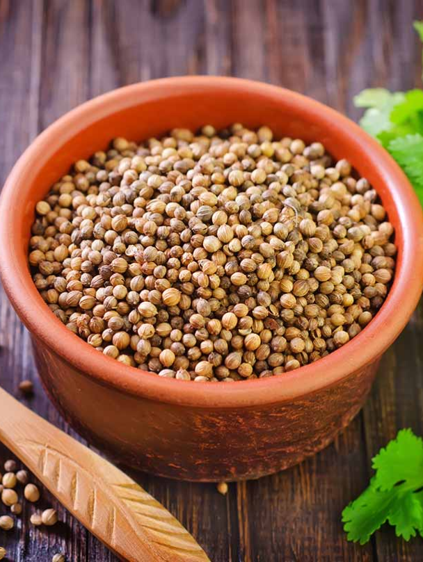 Coriander
