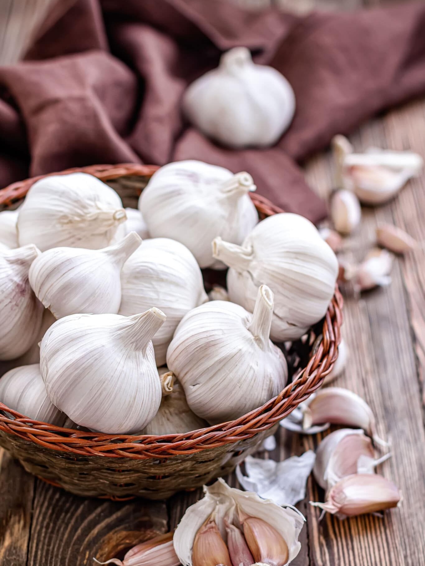 Garlic
